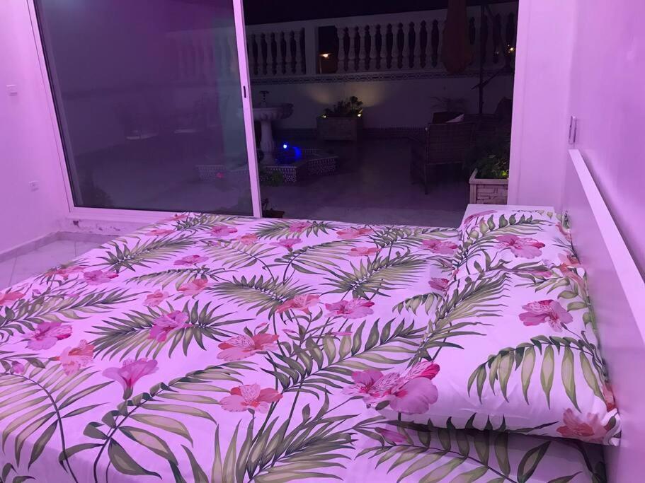 סאפי Luxe Appartement Vc Grand Terrasse מראה חיצוני תמונה